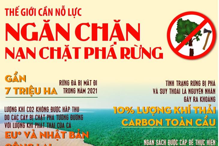 Thế giới cần nỗ lực ngăn chặn nạn chặt phá rừng